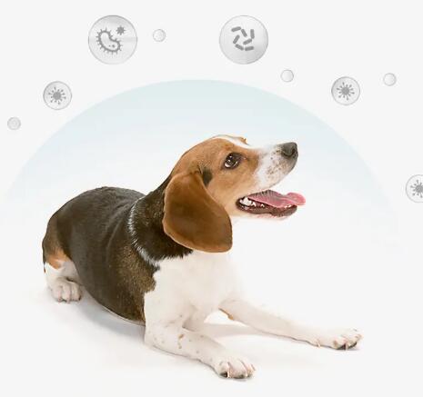 寵物沐浴露進口報關(guān)需要提供什么？(寵物沐浴露進口清關(guān)手續(xù))