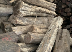 【進(jìn)口案例】墨西哥黑柿原木進(jìn)口清關(guān)案例分享