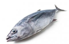 曼谷金槍魚價格繼續(xù)上漲,12月均價超過厄瓜多爾!