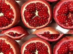 【政策解讀】關(guān)于埃及鮮食石榴植物進(jìn)口檢疫要求公告解讀