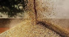 【政策解讀】進(jìn)口白俄羅斯菜籽粕(豆粕)檢驗(yàn)檢疫要求公告